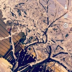 Meet your Posher, Ella